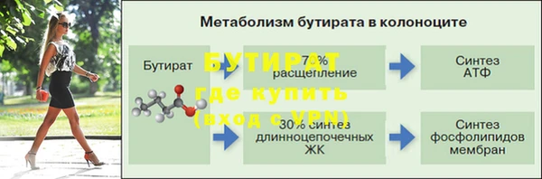 ГАЛЛЮЦИНОГЕННЫЕ ГРИБЫ Инта