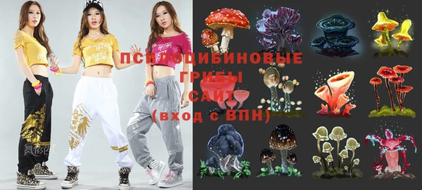 ГАЛЛЮЦИНОГЕННЫЕ ГРИБЫ Инта