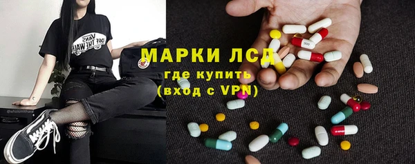 ГАЛЛЮЦИНОГЕННЫЕ ГРИБЫ Инта