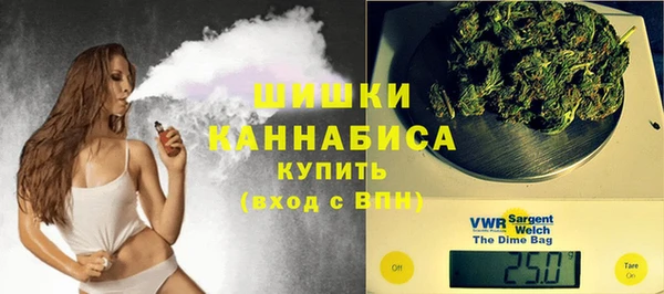 ГАЛЛЮЦИНОГЕННЫЕ ГРИБЫ Инта