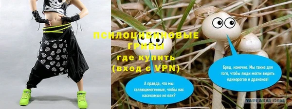 ГАЛЛЮЦИНОГЕННЫЕ ГРИБЫ Инта