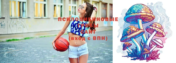ГАЛЛЮЦИНОГЕННЫЕ ГРИБЫ Инта