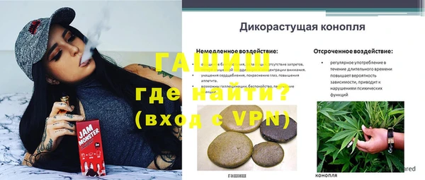ГАЛЛЮЦИНОГЕННЫЕ ГРИБЫ Инта